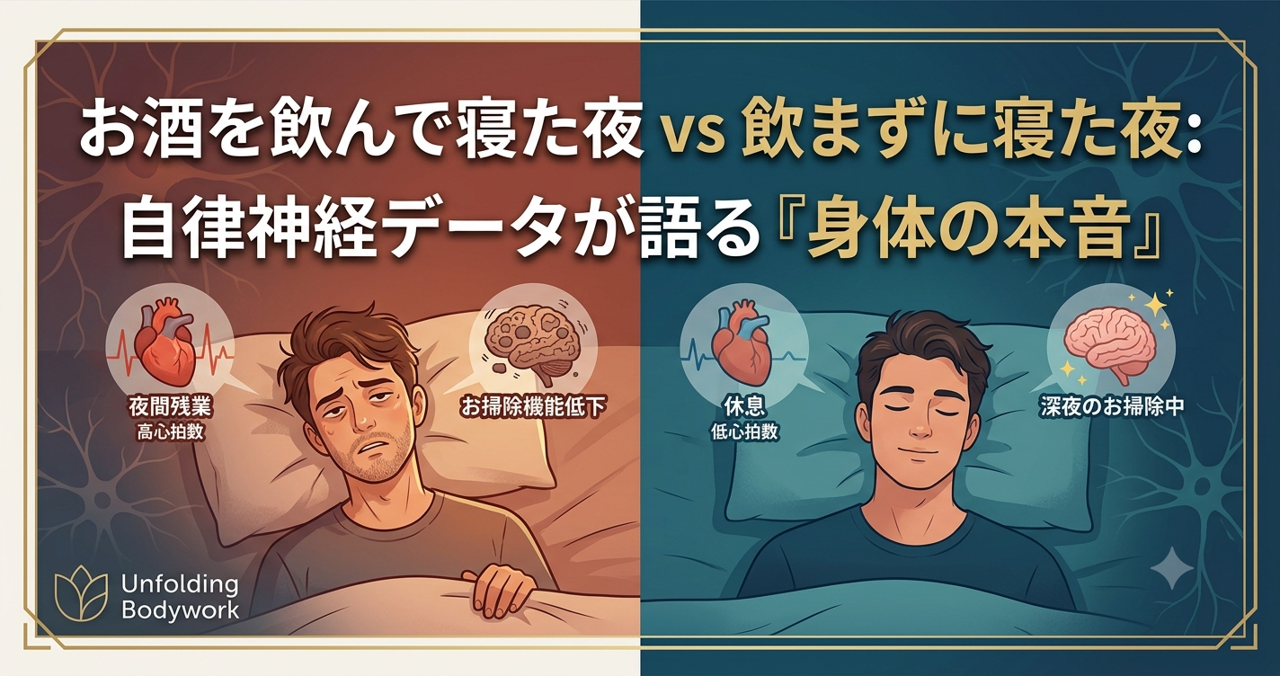 【実測データ比較】お酒を飲んで寝た翌朝の「スッキリしない疲れ」の正体。心臓の夜間残業と、脳の居眠り大掃除